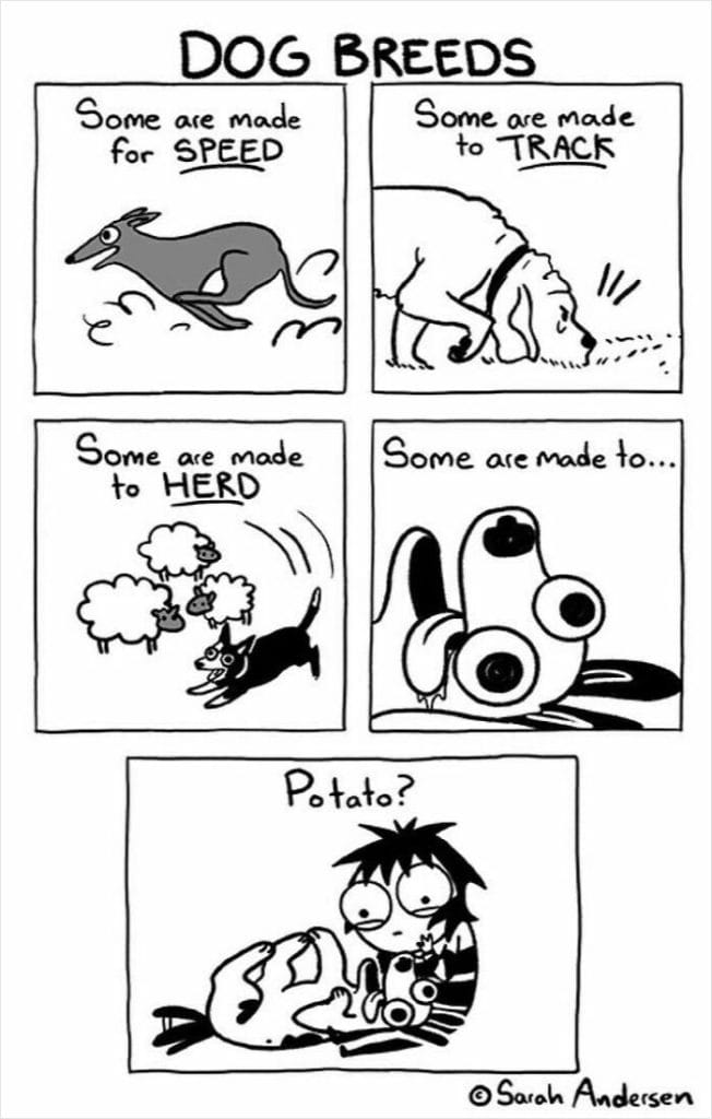 8-96-652x1024 20 Hilarious Comics By Sarah Andersen That Perfectly Capture The Quirky Differences Between Cats And Dogs