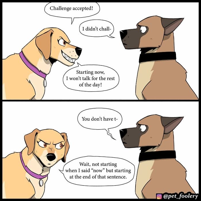 84 Internet Sensation Pet Foolery Never Fails to Amuse Fans With Five Heartwarming Stories