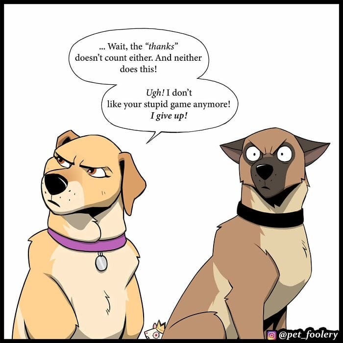 86 Internet Sensation Pet Foolery Never Fails to Amuse Fans With Five Heartwarming Stories