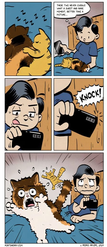 9-108-446x1024 20 Witty 'Port Sherry' Comics That Mix Daily Life with Unexpected Twists (New Pics)
