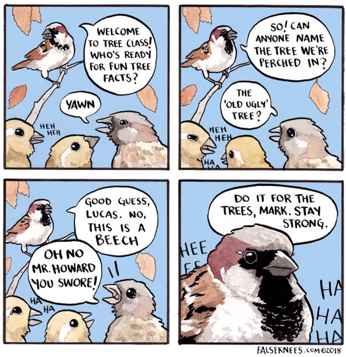 9-11 15 False Knees Humorous and often Surreal illustrations of Animals
