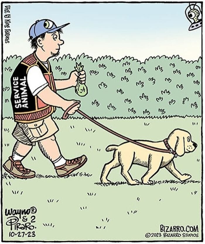 9-3 20 Comics Feature Surreal humor That Depicts Situations in a Bizarre Way