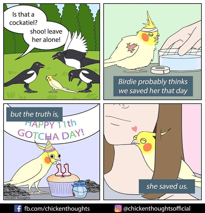 9-49 15+ Times Chicken Thoughts Makes Hilarious Comics About Birds That will Surely Make Your Day