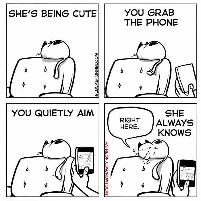 9-89 20 New Comics by Lucas Turnbloom That Hilariously Capture Relatable Cat Behaviors