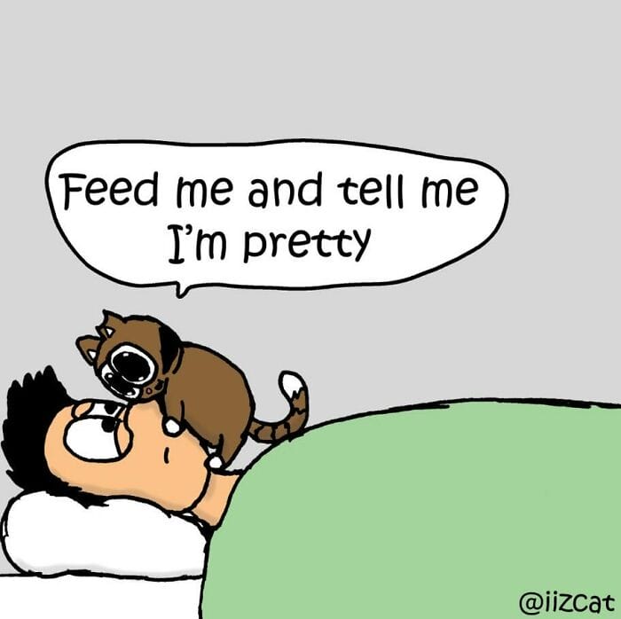 1-16 20 Funny New Comics by Nick Filippou That Capture the Essence of Life With a Cat
