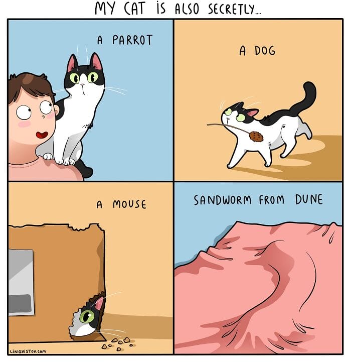 1 20 Hilarious New Comics by Lingvistov That Nail the Cat Life Experience