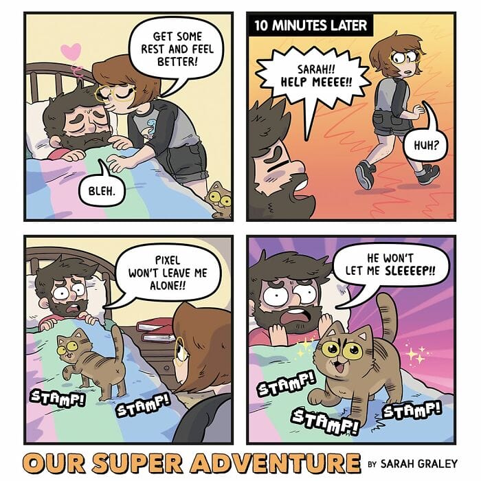 10-26 20 Hilariously Relatable Comics by Sarah Graley on Life With Her Husband and Four Cats (New Pics)