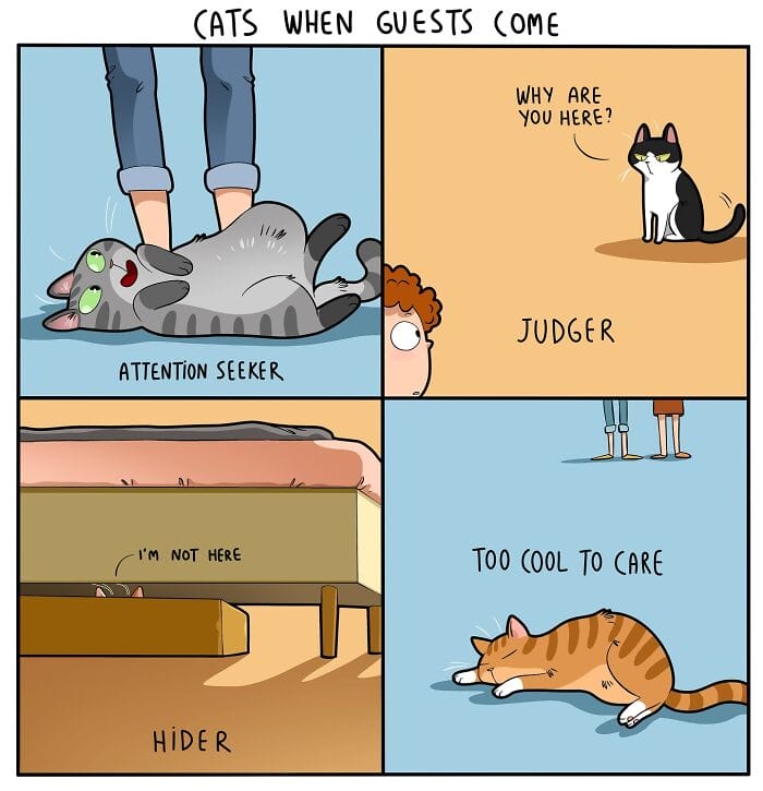 10 20 Hilarious New Comics by Lingvistov That Nail the Cat Life Experience