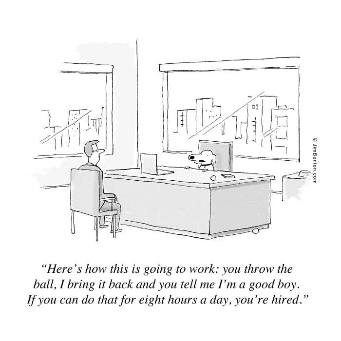 11-43 20 Hilarious Comics by Jim Benton That Showcase His Unique Wit (New Pics)