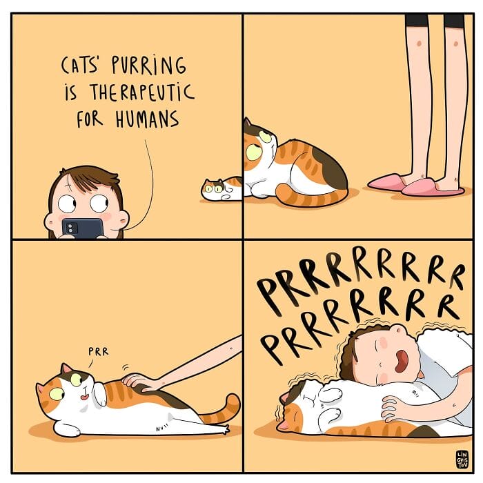 11 20 Hilarious New Comics by Lingvistov That Nail the Cat Life Experience