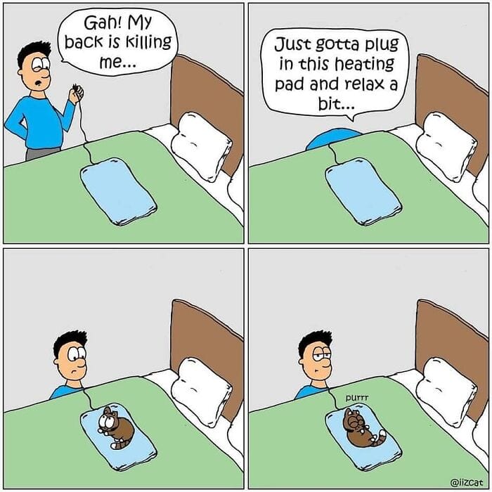 12-16 20 Funny New Comics by Nick Filippou That Capture the Essence of Life With a Cat