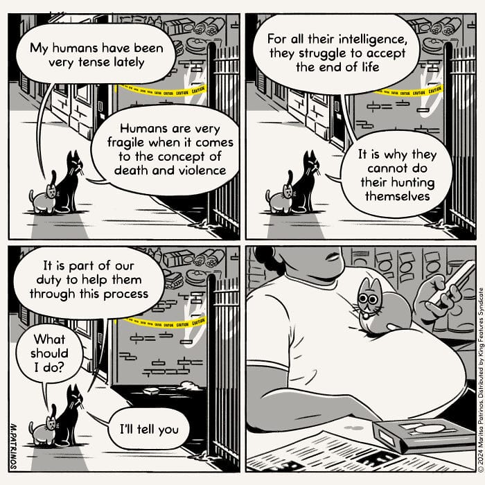 12-18 20 Hilarious New Comics by Maritsa Patrinos Absurd Life Moments and Cat Humor (New Pics)