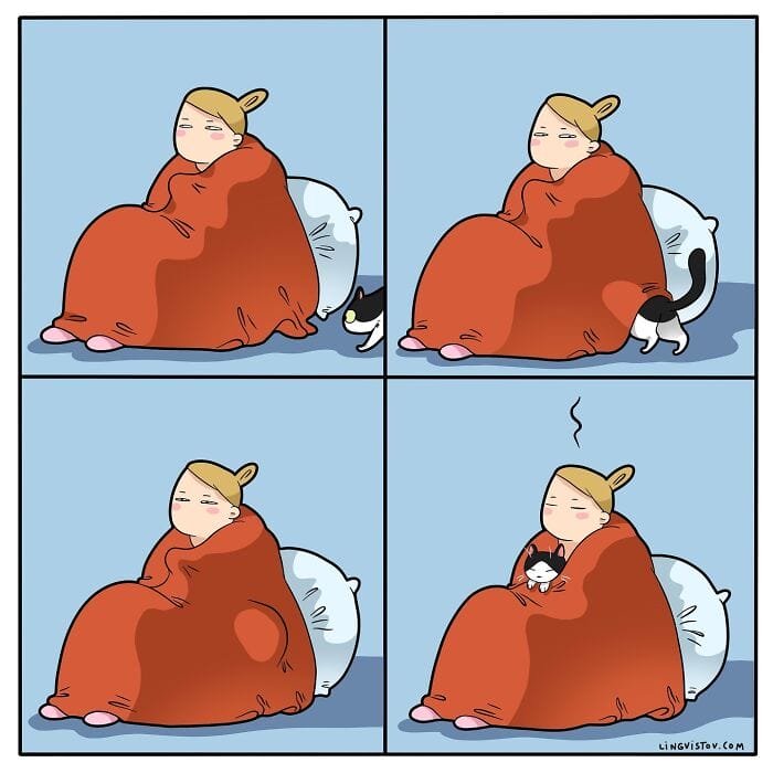12 20 Hilarious New Comics by Lingvistov That Nail the Cat Life Experience