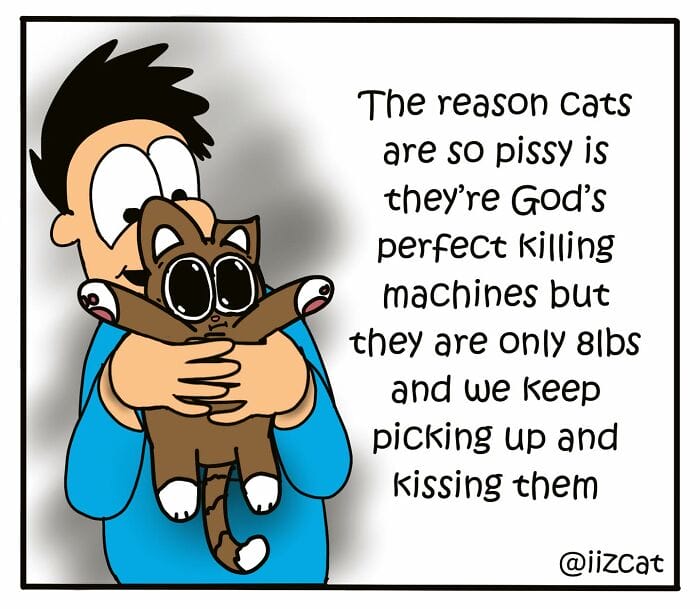 13-15 20 Funny New Comics by Nick Filippou That Capture the Essence of Life With a Cat