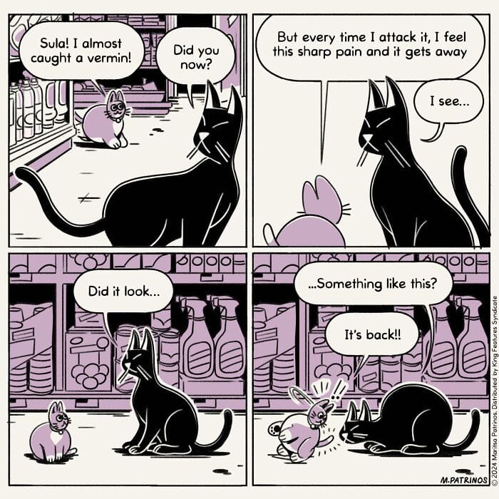 13-17 20 Hilarious New Comics by Maritsa Patrinos Absurd Life Moments and Cat Humor (New Pics)