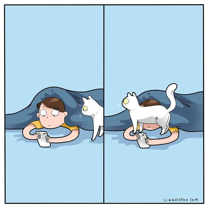 13 20 Hilarious New Comics by Lingvistov That Nail the Cat Life Experience