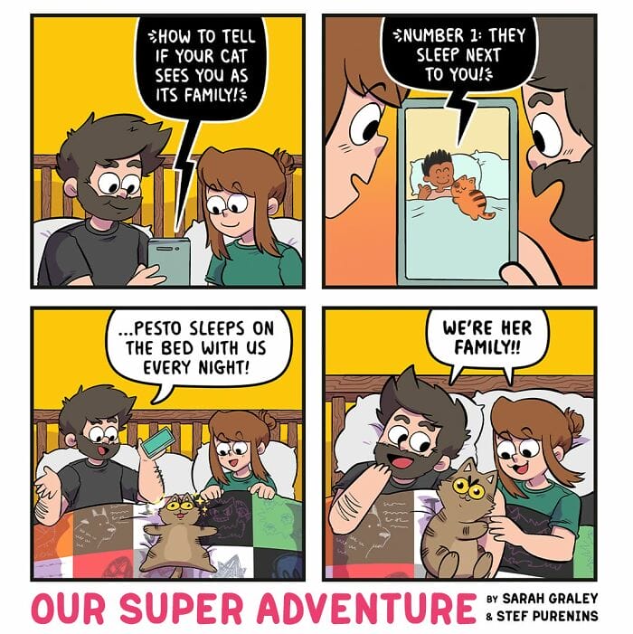 15-25 20 Hilariously Relatable Comics by Sarah Graley on Life With Her Husband and Four Cats (New Pics)