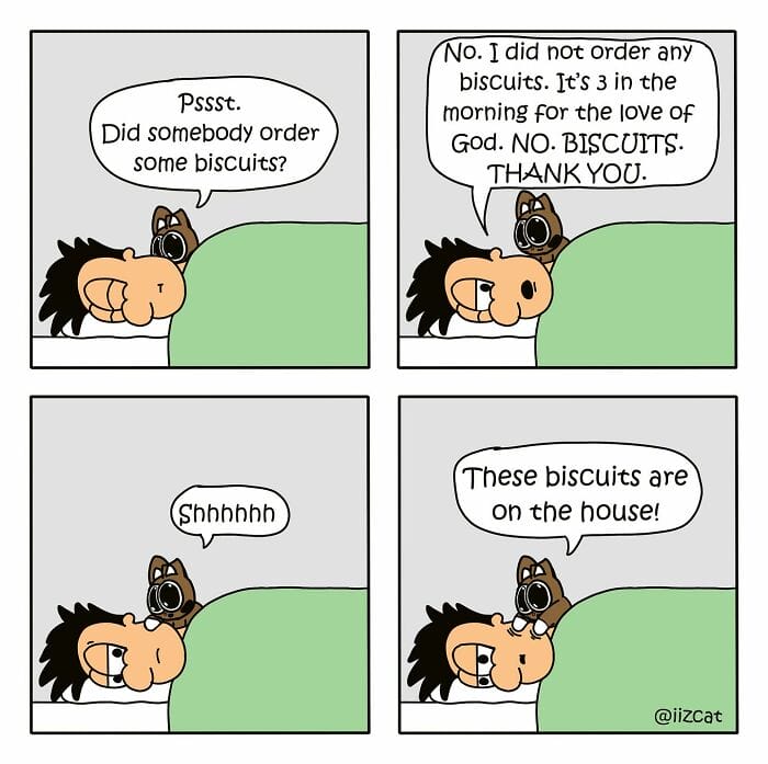 16-16 20 Funny New Comics by Nick Filippou That Capture the Essence of Life With a Cat