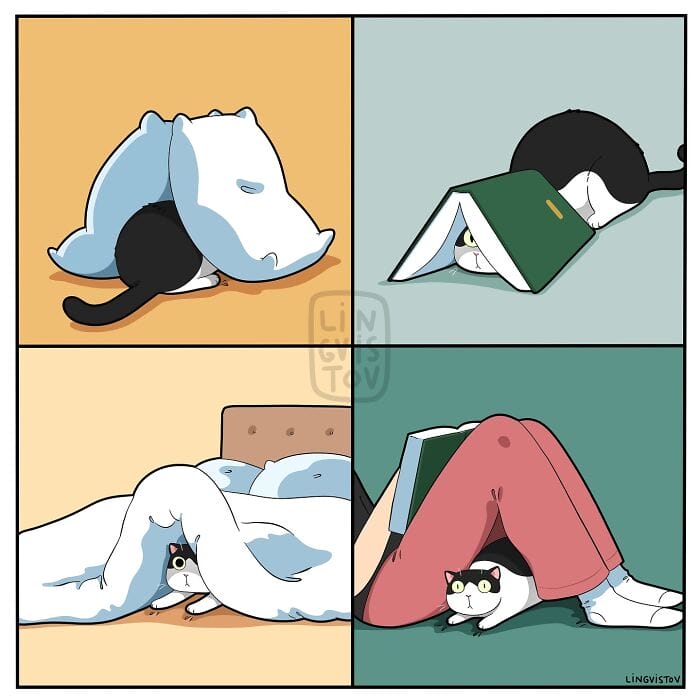 16 20 Hilarious New Comics by Lingvistov That Nail the Cat Life Experience