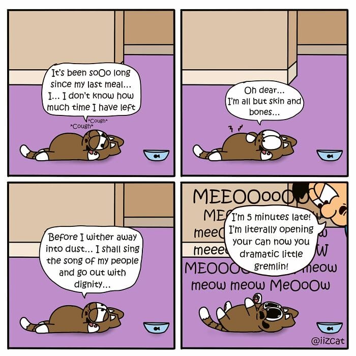 17-15 20 Funny New Comics by Nick Filippou That Capture the Essence of Life With a Cat