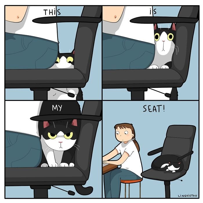 17 20 Hilarious New Comics by Lingvistov That Nail the Cat Life Experience