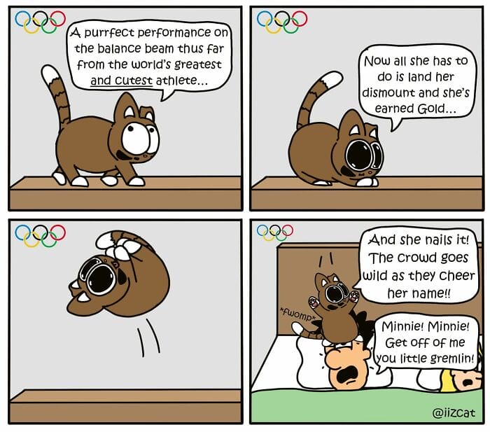18-15 20 Funny New Comics by Nick Filippou That Capture the Essence of Life With a Cat