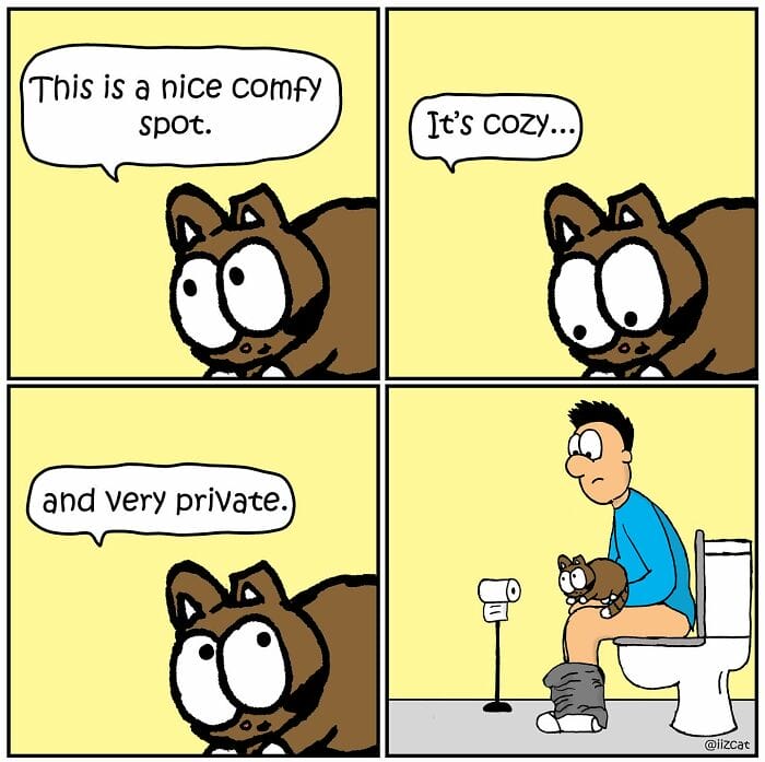 19-15 20 Funny New Comics by Nick Filippou That Capture the Essence of Life With a Cat