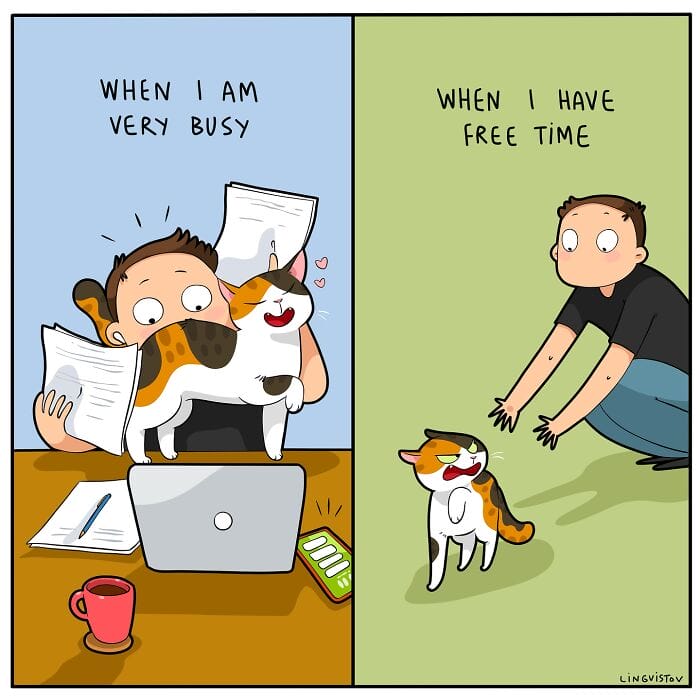 19 20 Hilarious New Comics by Lingvistov That Nail the Cat Life Experience
