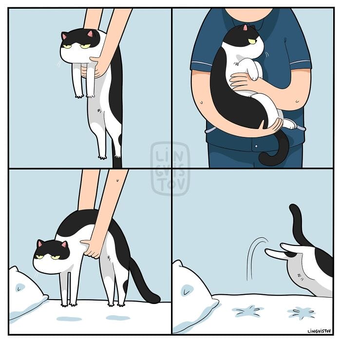 2 20 Hilarious New Comics by Lingvistov That Nail the Cat Life Experience