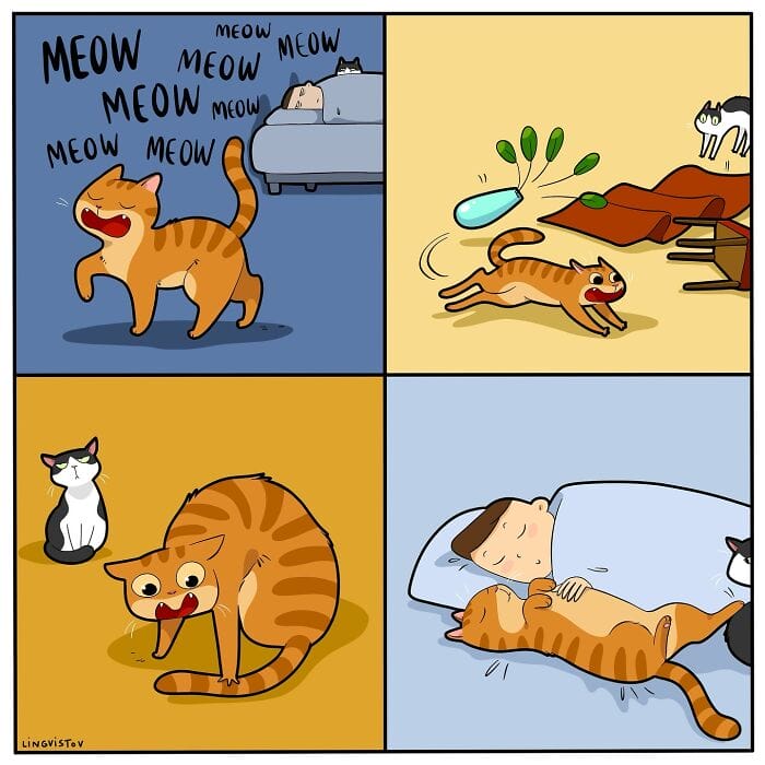 20 20 Hilarious New Comics by Lingvistov That Nail the Cat Life Experience