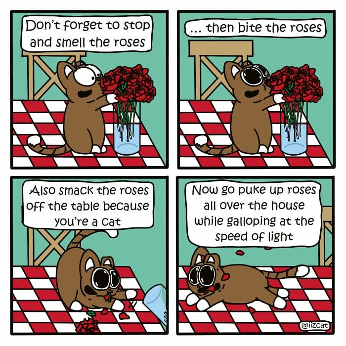 3-16 20 Funny New Comics by Nick Filippou That Capture the Essence of Life With a Cat