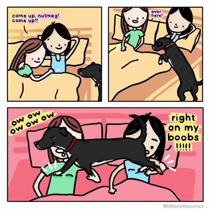 3-31 Artist Drops 20 New Cute and Relatable Comics Highlighting Relationship Quirks