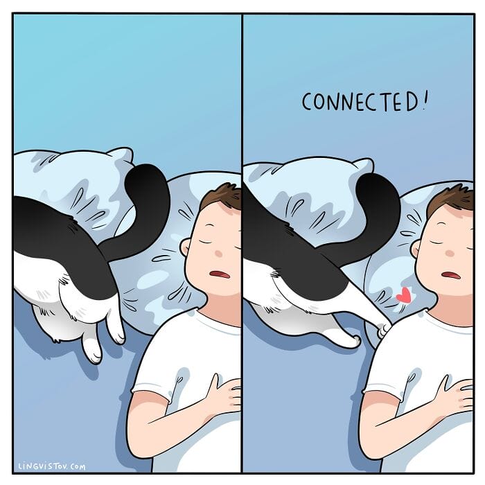 3 20 Hilarious New Comics by Lingvistov That Nail the Cat Life Experience