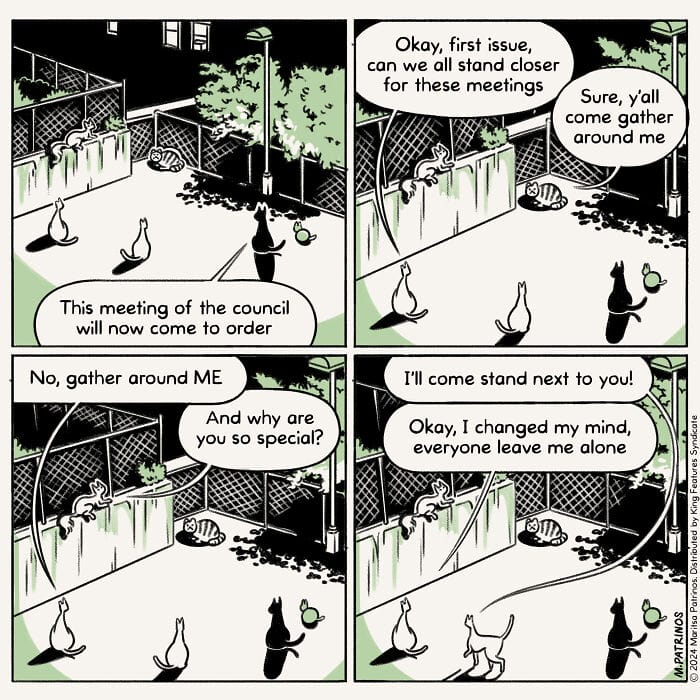 4-19 20 Hilarious New Comics by Maritsa Patrinos Absurd Life Moments and Cat Humor (New Pics)