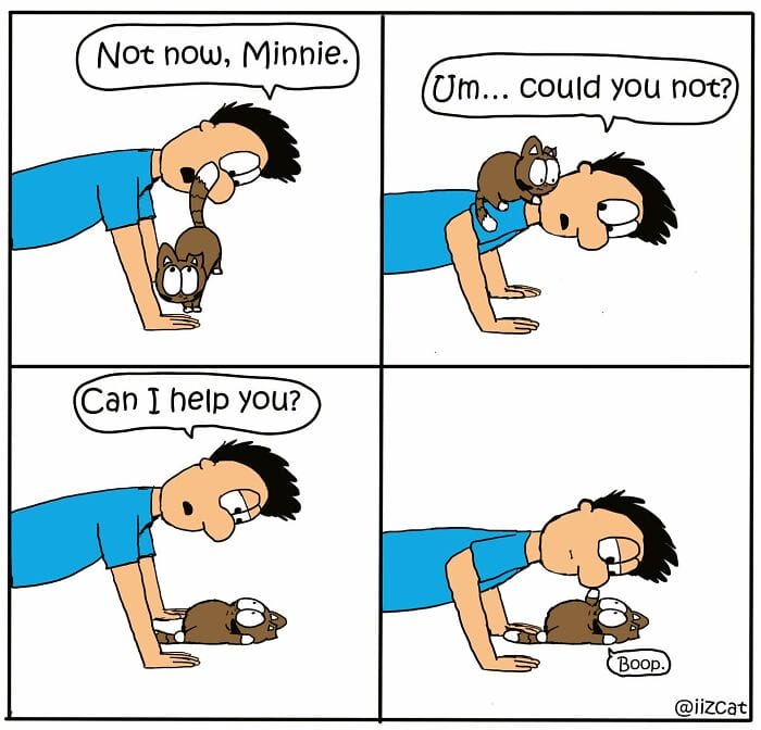 5-17 20 Funny New Comics by Nick Filippou That Capture the Essence of Life With a Cat