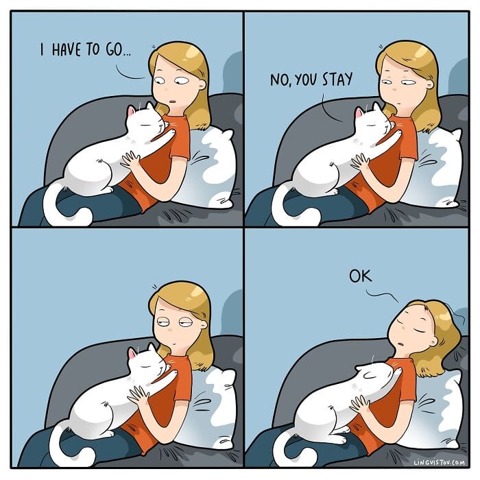 6 20 Hilarious New Comics by Lingvistov That Nail the Cat Life Experience