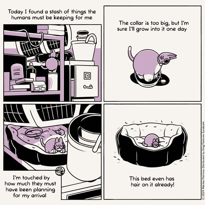 7-18 20 Hilarious New Comics by Maritsa Patrinos Absurd Life Moments and Cat Humor (New Pics)