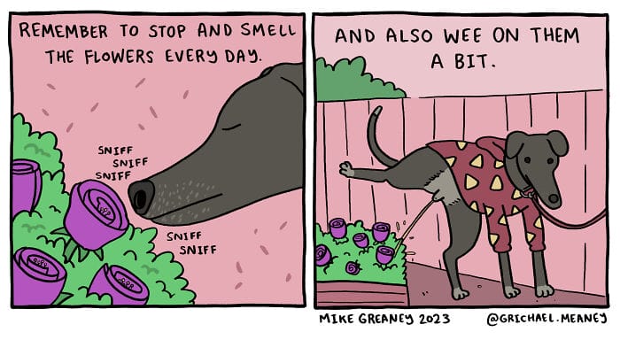 7-28 20 Mike Greaney Comics That Will Leave You Surprised (New Pics)