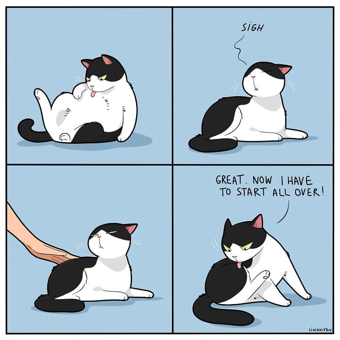 7 20 Hilarious New Comics by Lingvistov That Nail the Cat Life Experience