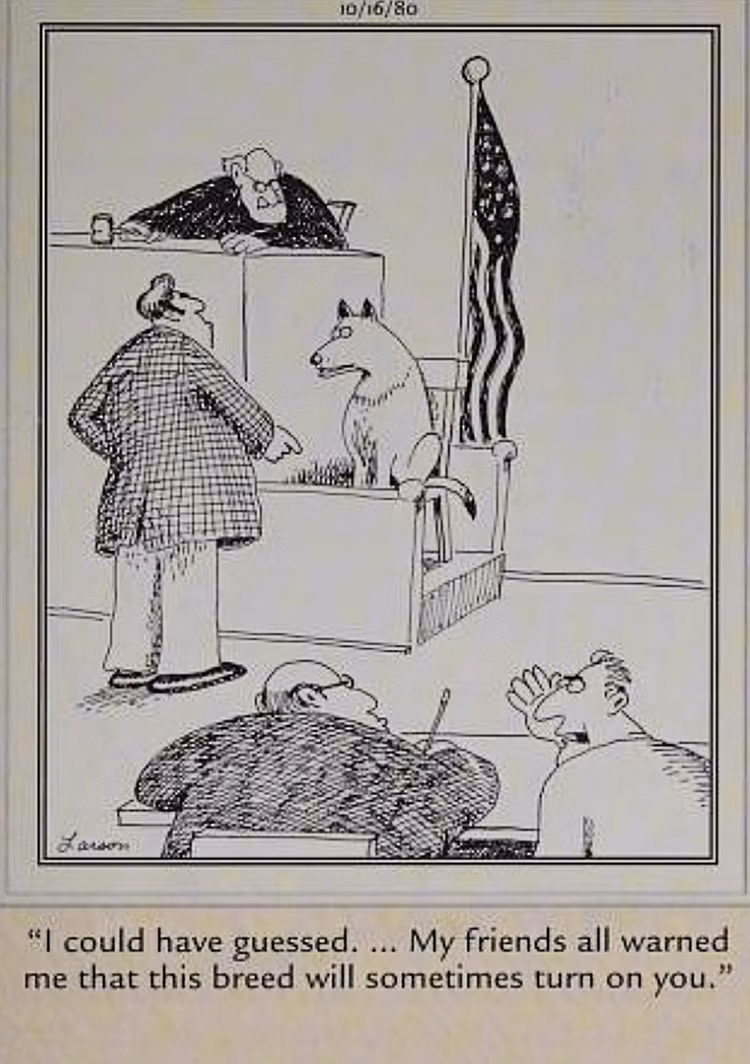 dog-turns-states-evidence-against-his-owner-in-court-5 10 Hilarious Far Side Comics That Show Why Dogs Are Man's Best Friend