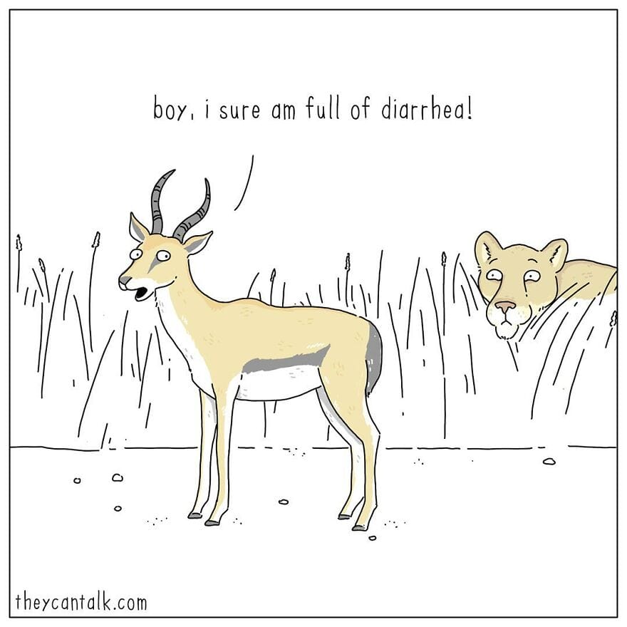 11-3 Jimmy Craig Returns with 20 Hilarious New ‘They Can Talk’ Animal Comics