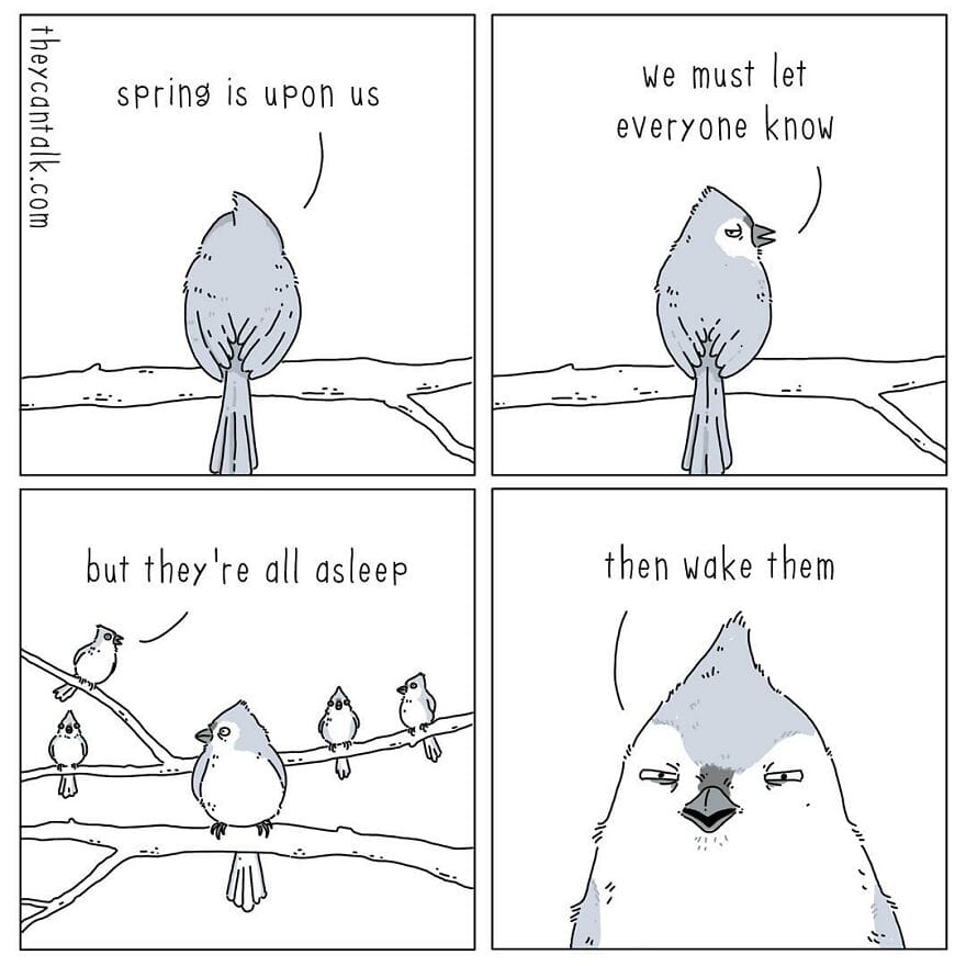 2-3 Jimmy Craig Returns with 20 Hilarious New ‘They Can Talk’ Animal Comics