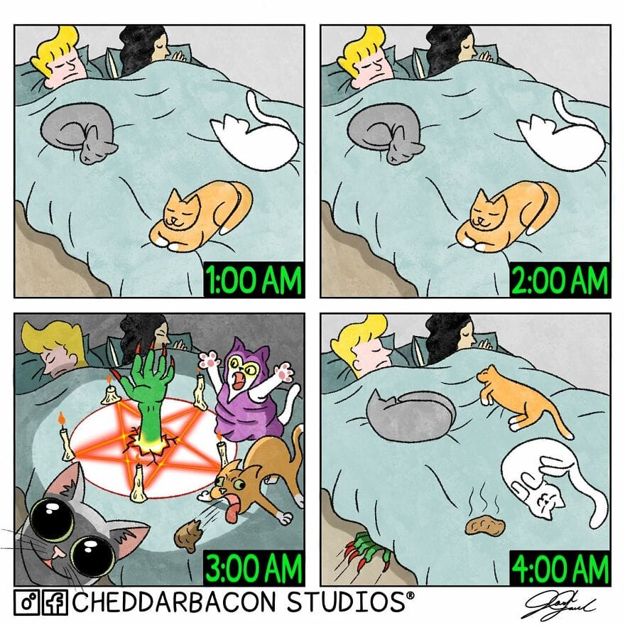 2-7 20 Hilarious Comics Full of Absurd Situations and Unexpected Punchlines
