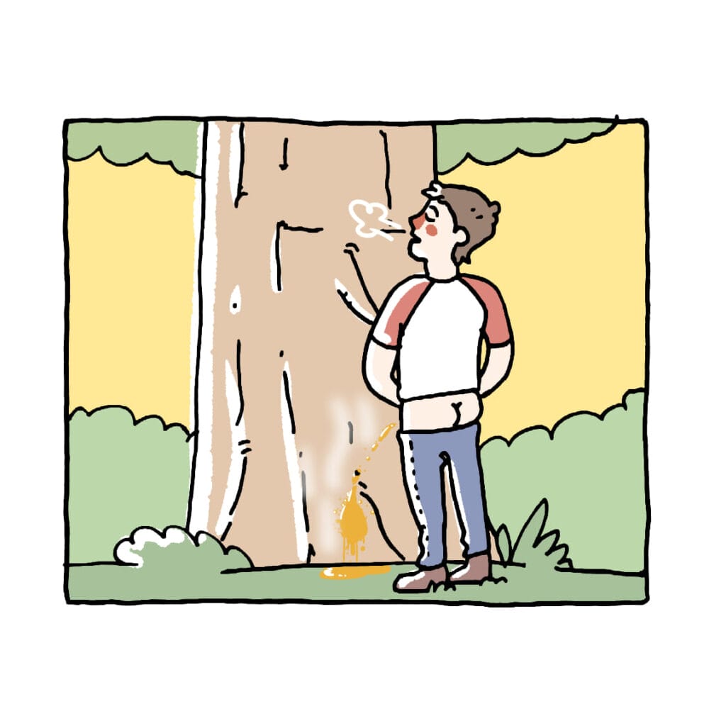 3-12 The Tree and the Boy: A Timeless Affair