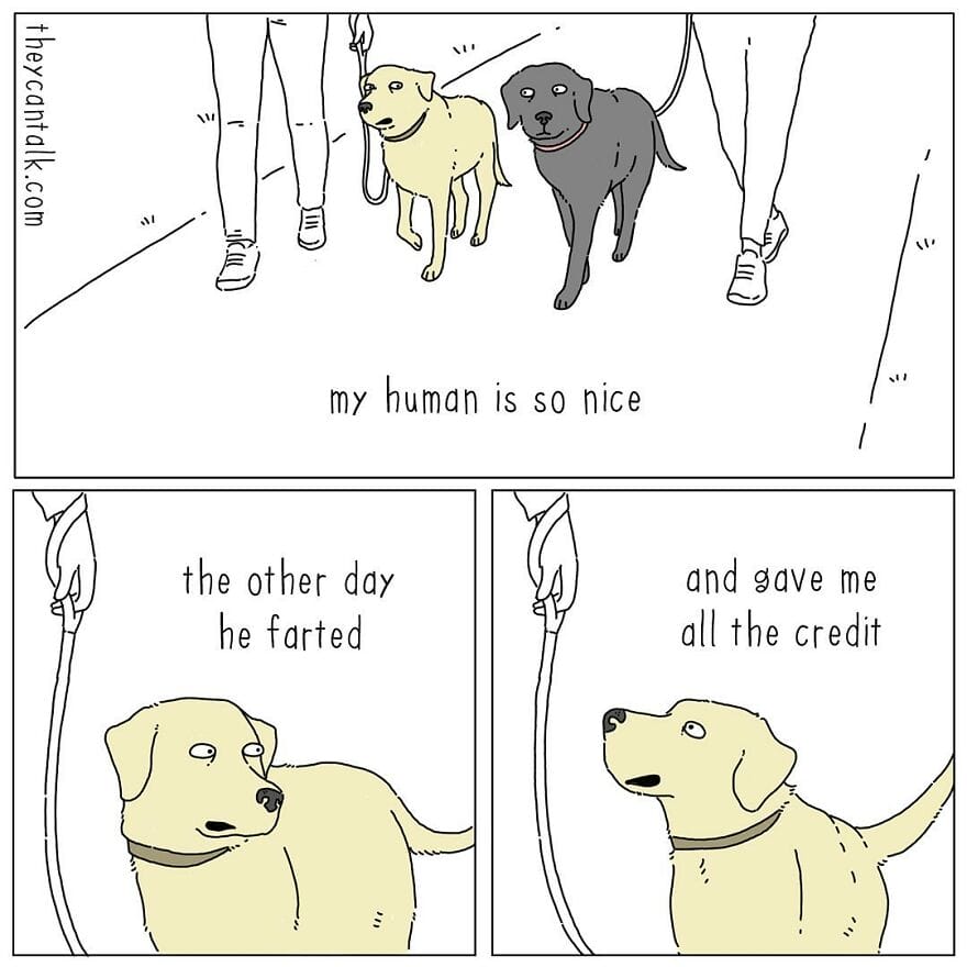 6-3 Jimmy Craig Returns with 20 Hilarious New ‘They Can Talk’ Animal Comics