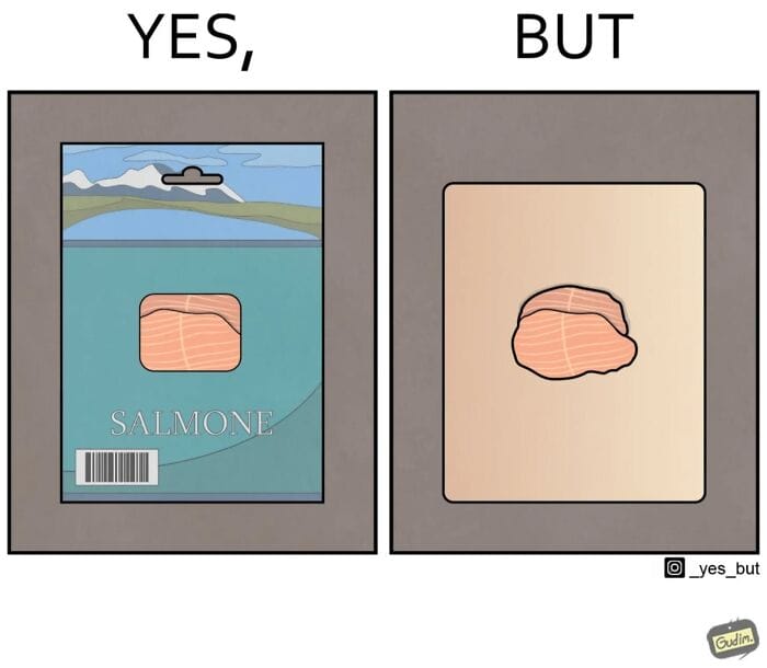 7-18 20 New “Yes, But” Comics That Hilariously Expose Society’s Contradictions