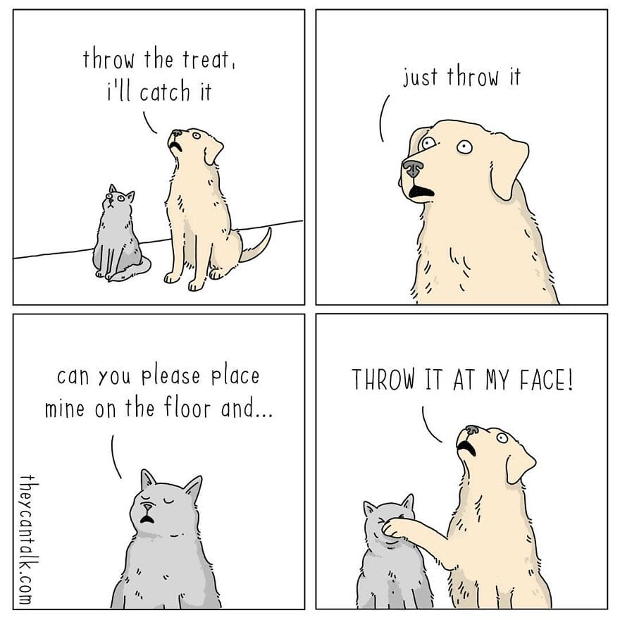 7-3 Jimmy Craig Returns with 20 Hilarious New ‘They Can Talk’ Animal Comics