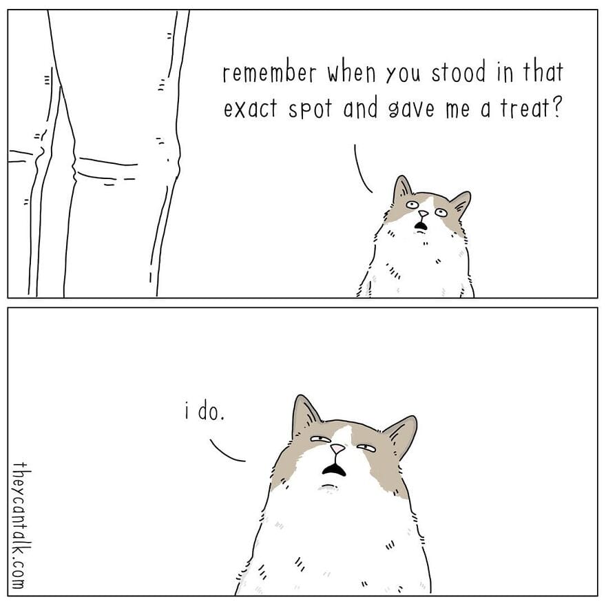 8-3 Jimmy Craig Returns with 20 Hilarious New ‘They Can Talk’ Animal Comics