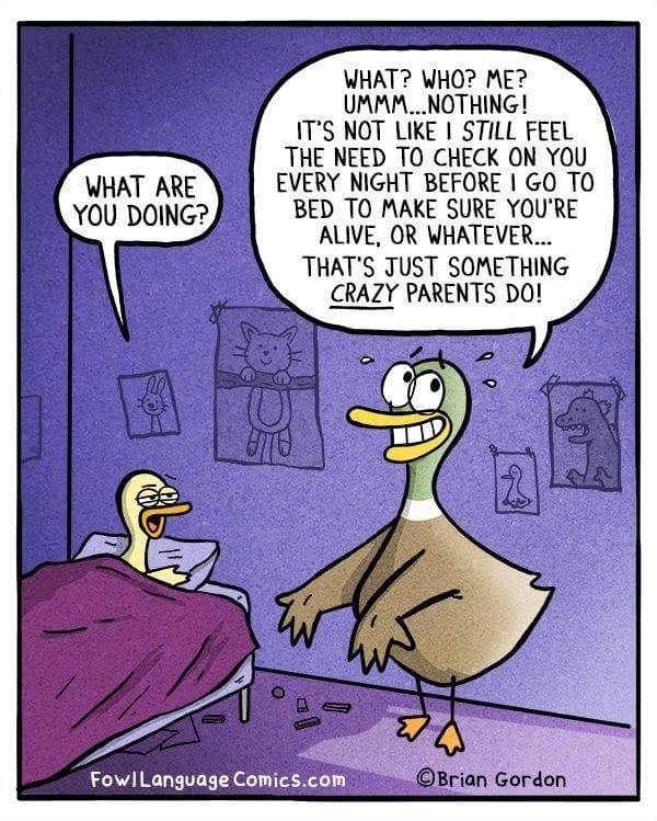 11 20 Hilarious Fowl Language Comics by Brian Gordon That Parents Will Relate To Instantly
