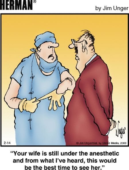 18-2 20 Hilarious Herman Comics by Jim Unger That Deliver a Perfect Punchline